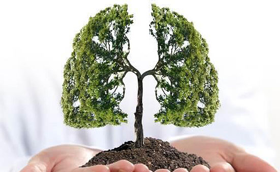 Hình ảnh mô tả lá phổi xanh là nguồn sống.